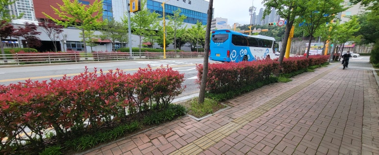 강산여행사 이미지