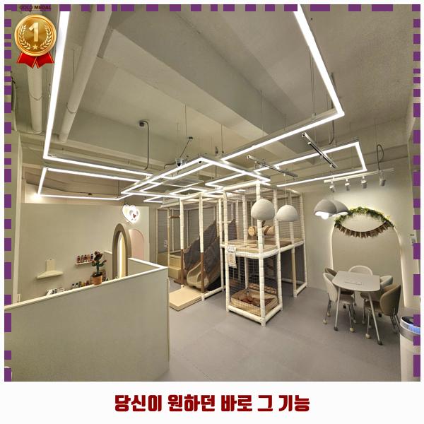 리카키즈 강릉점 이미지