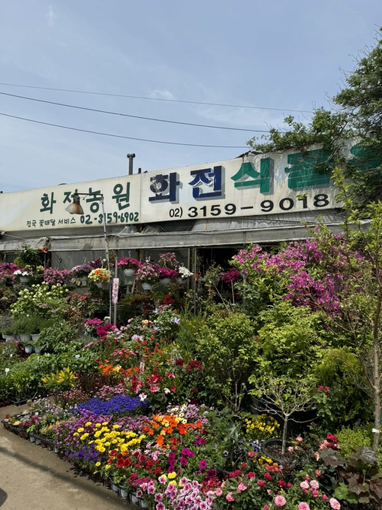 수색농원 이미지