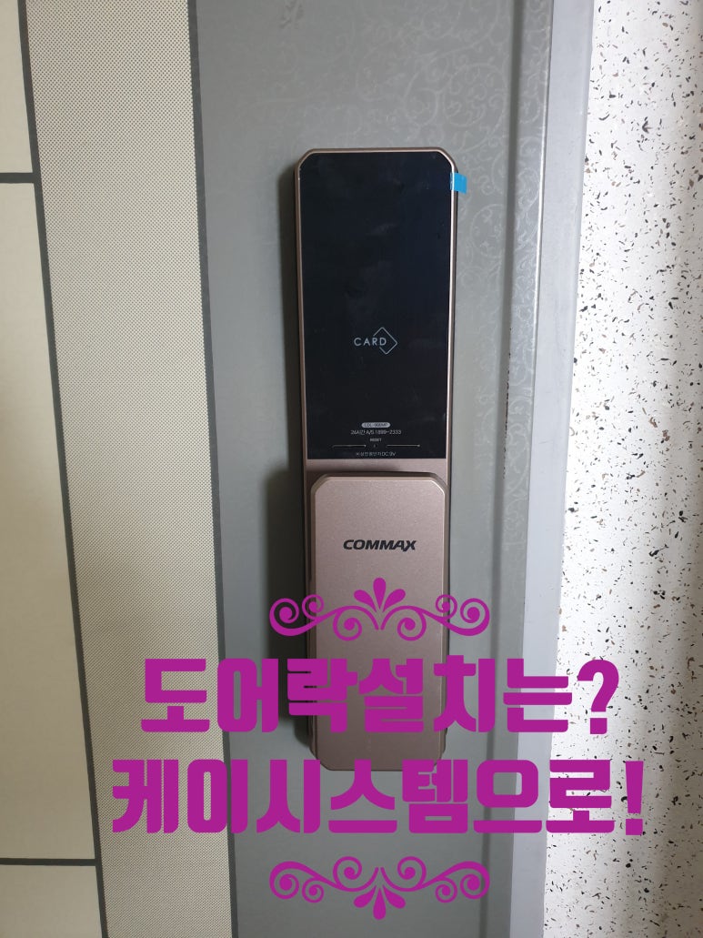제주코맥스 이미지
