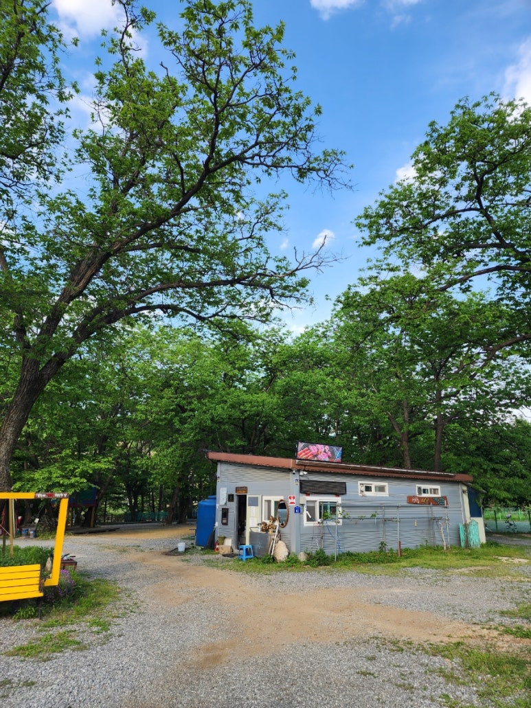 수동시온캠프 이미지