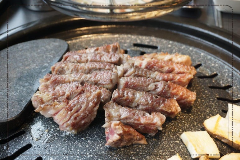 고기의 숲 이미지