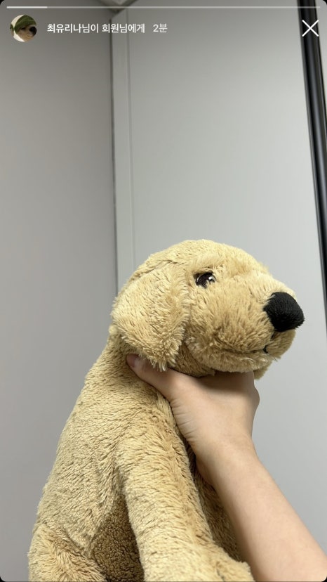 웃기씨네 이미지