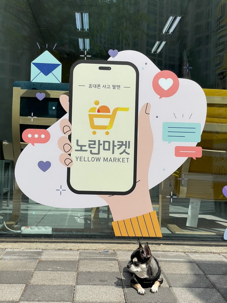 노란마켓파주점 이미지