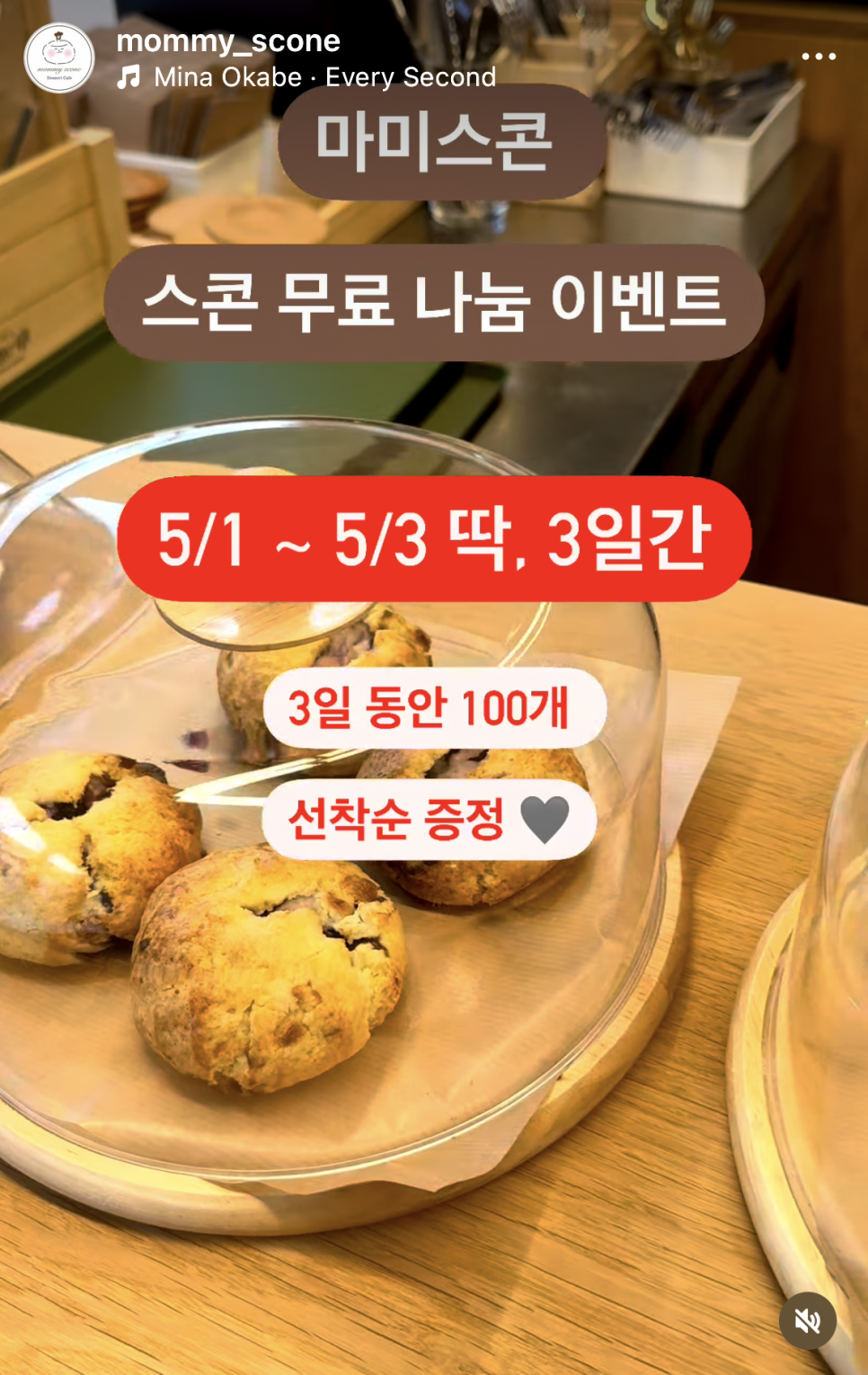 마미스콘 이미지