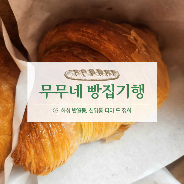 파이드정희 이미지