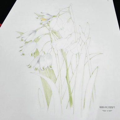 봄플레이트 이미지