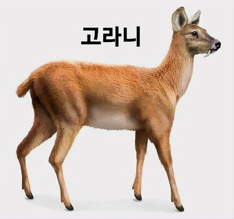여행가자 이미지