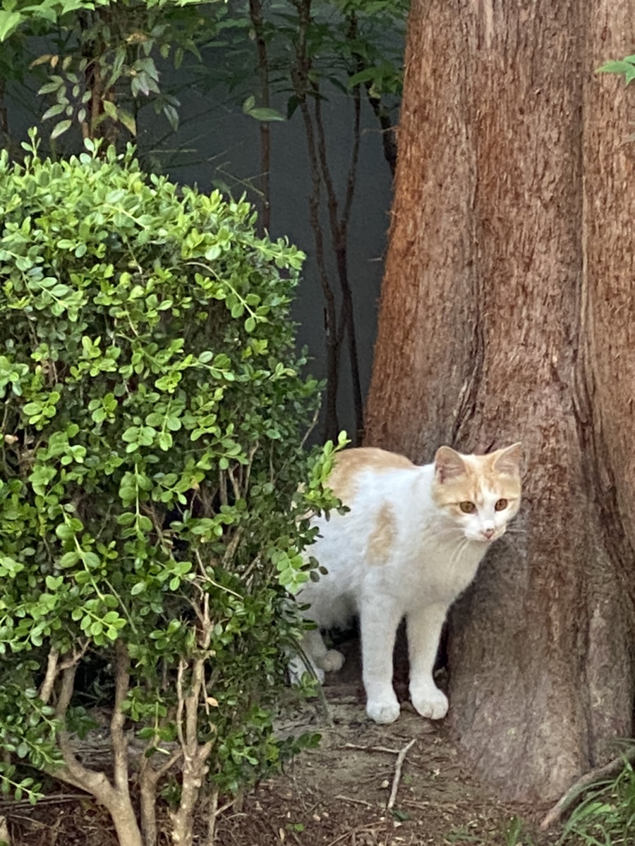 화룡키친 이미지