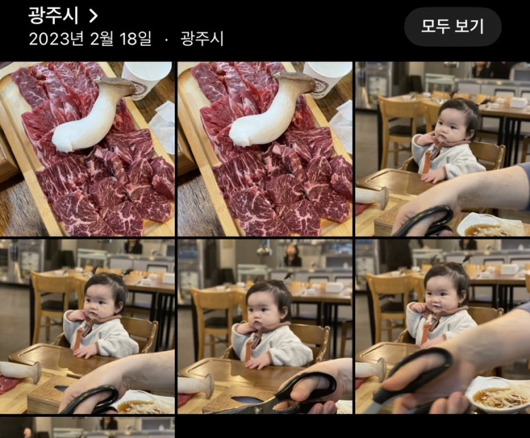 본시생고기 이미지