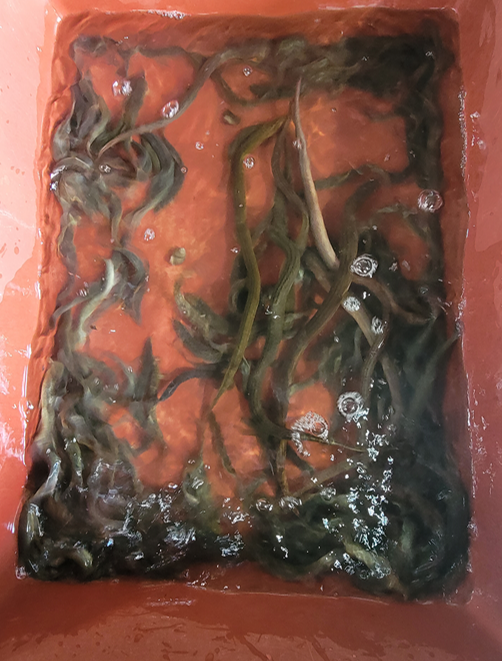 민물자연수산 이미지