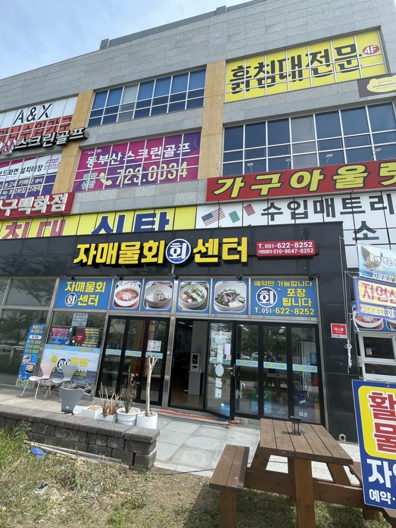 자매물회 이미지