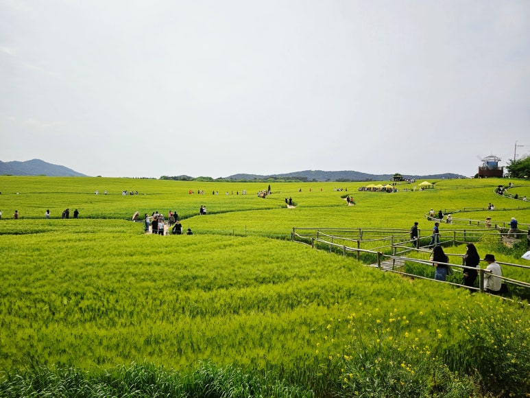 승천농장 이미지