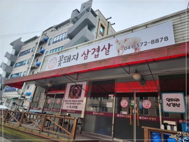 신세계꽃돼지 이미지