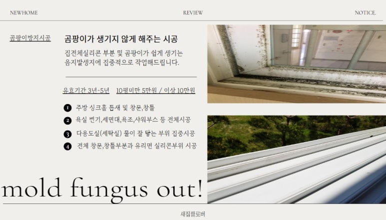 새집클로버 이미지