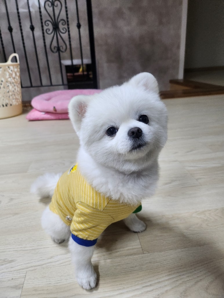 태영민박 이미지
