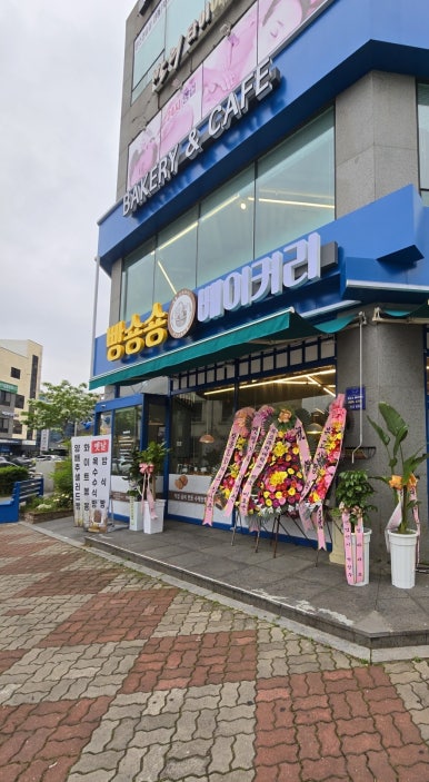 빵숑숑 이미지