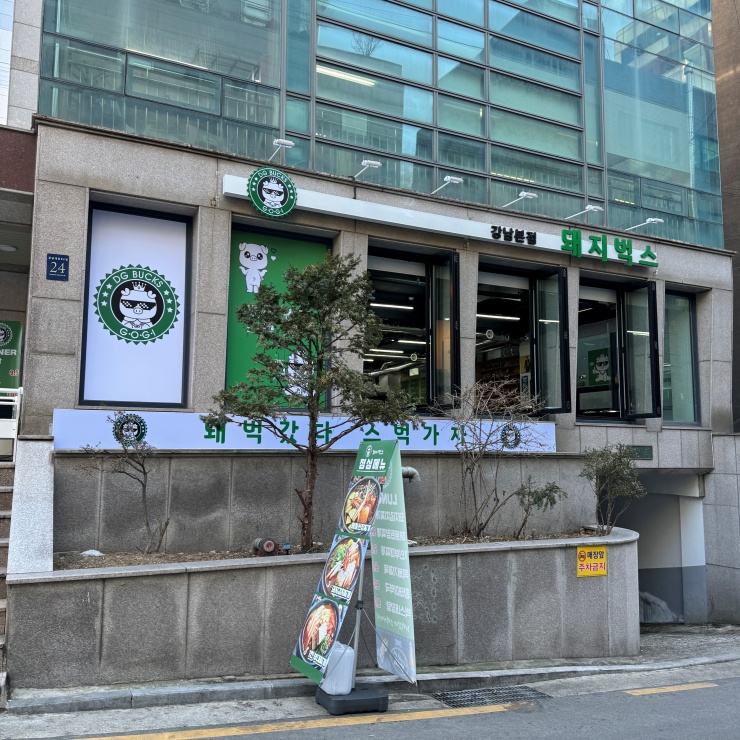 돼지벅스 이미지