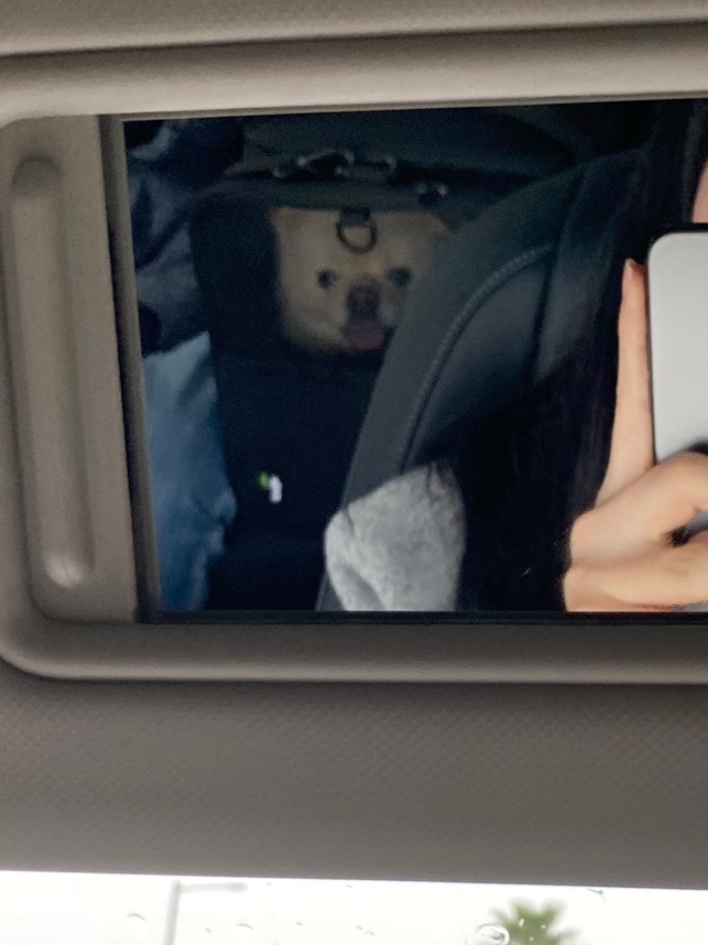 케이지렌터카 이미지