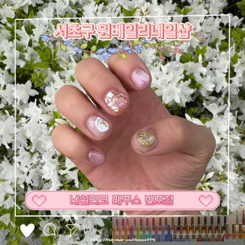 네일리코레푸스 이미지
