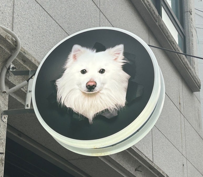 그 남자의 주방 이미지