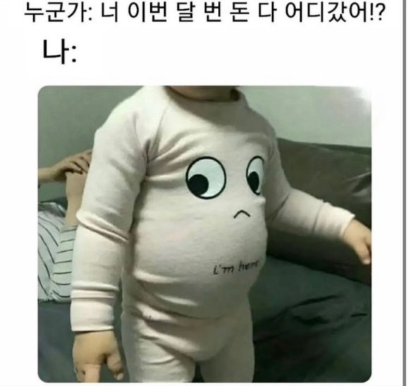 토디 이미지