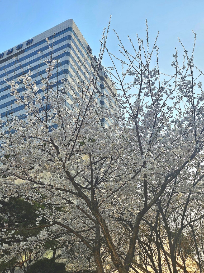미래와희망산부인과의원 이미지