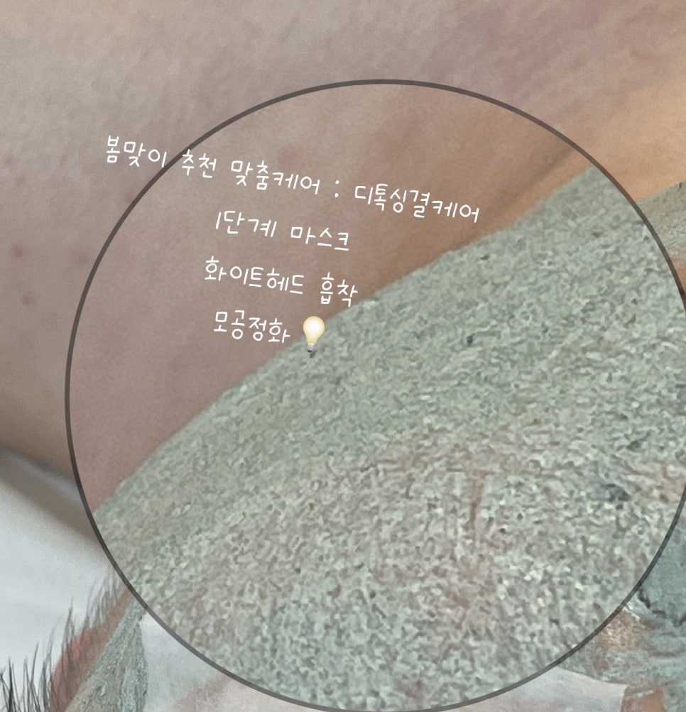 소프니스 이미지