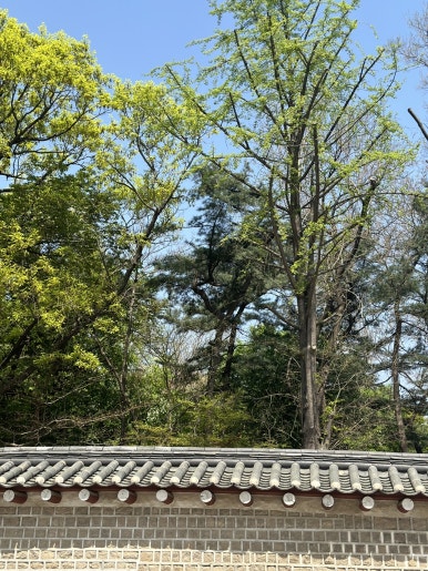 앞으로의빵집 이미지