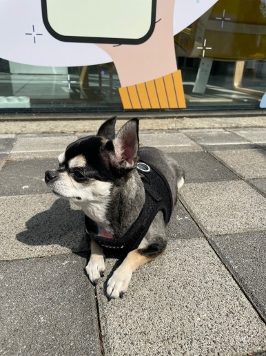 노란마켓파주점 이미지