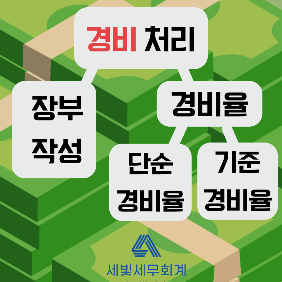 세빛세무회계 이미지