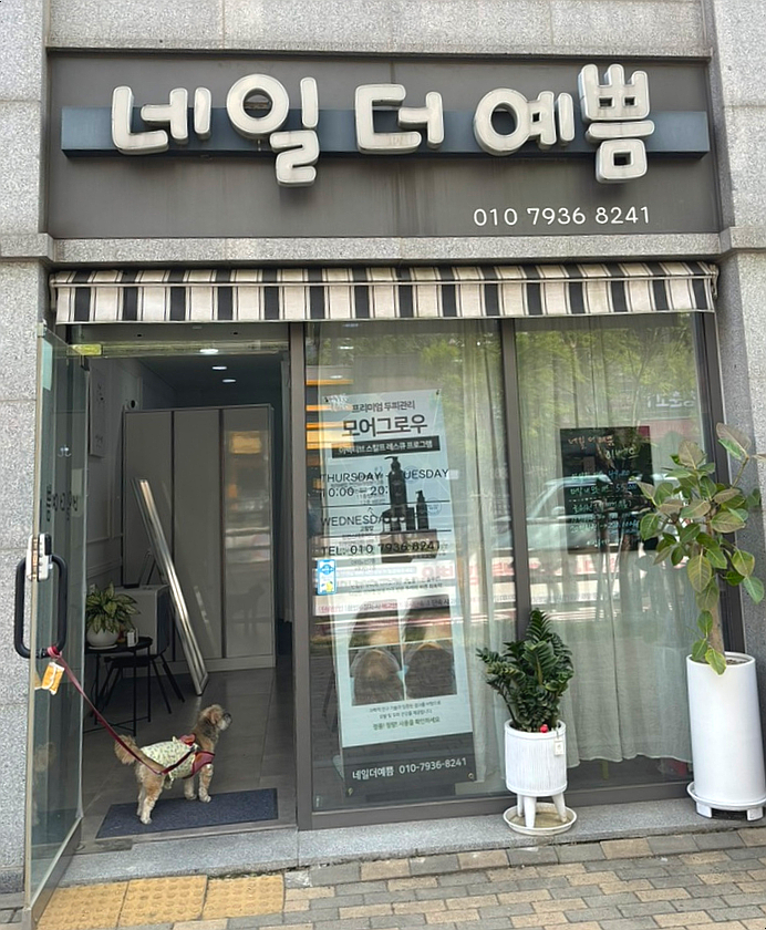 네일더예쁨 이미지