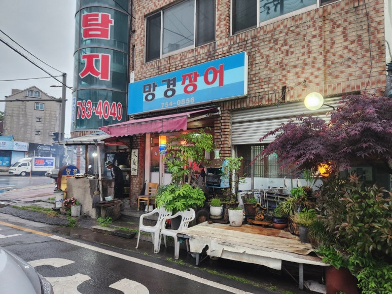 망경장어 이미지