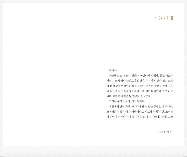 사자코리아 이미지