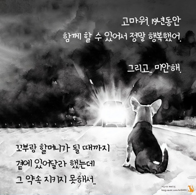 무지개광고 이미지