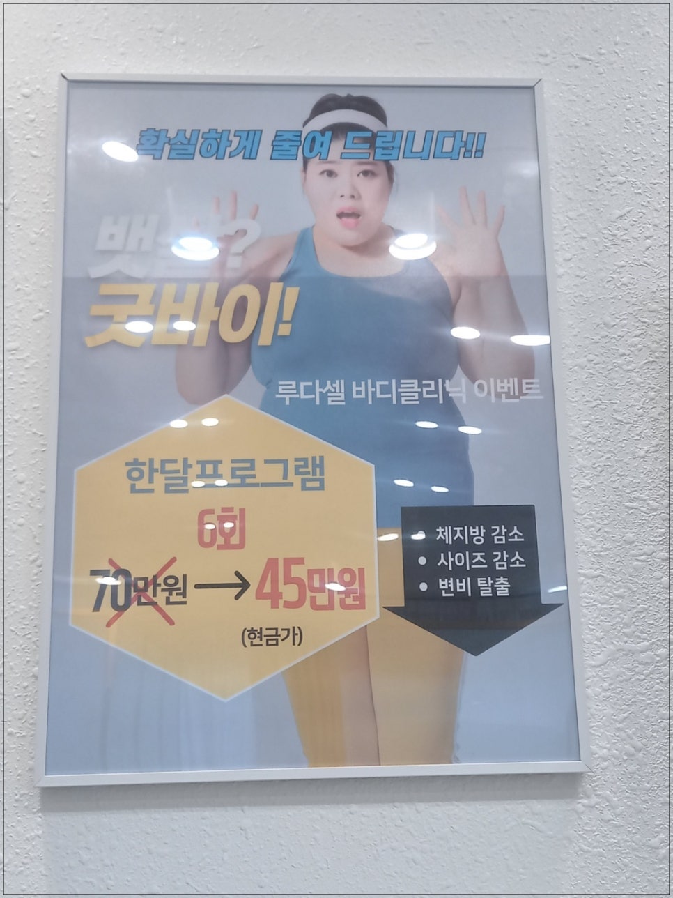셀바디 이미지