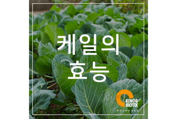 (주)카인즈바이오틱스 이미지