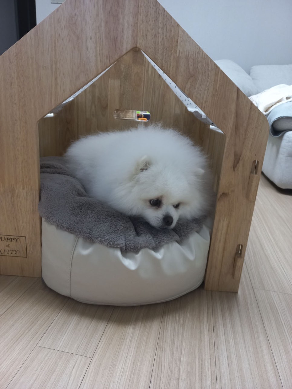 딱조은디자인 이미지