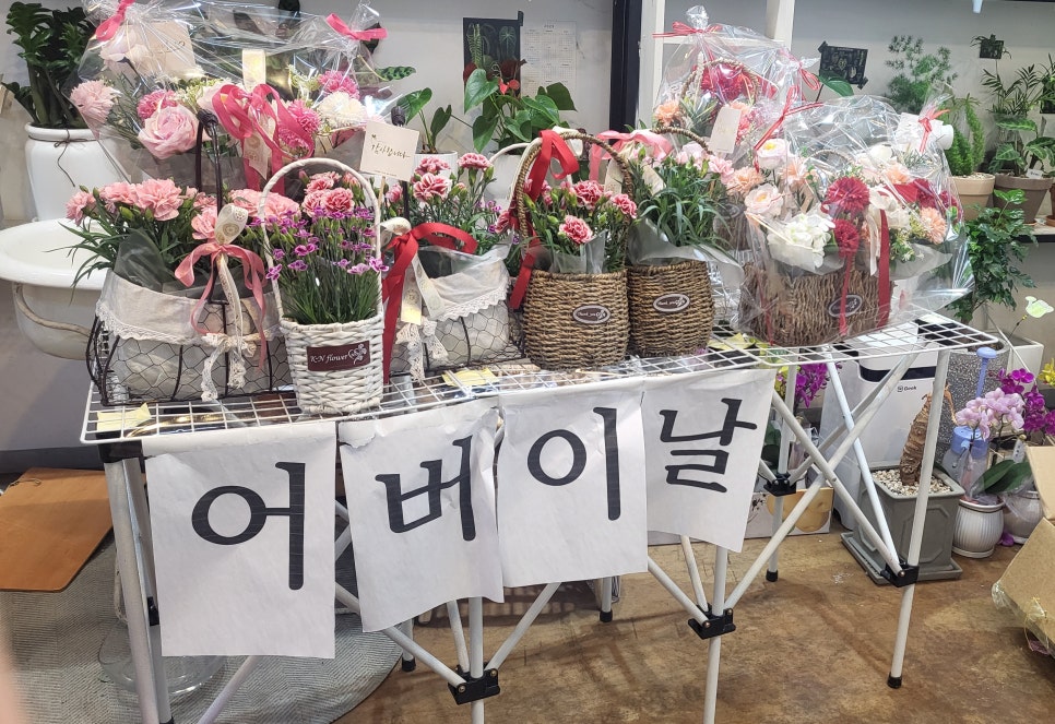 프롬니나 이미지