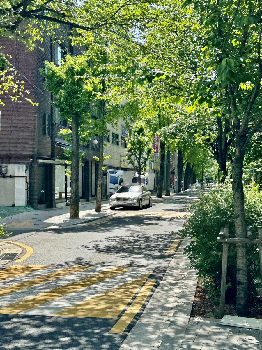 에스페란자 로스터즈 이미지