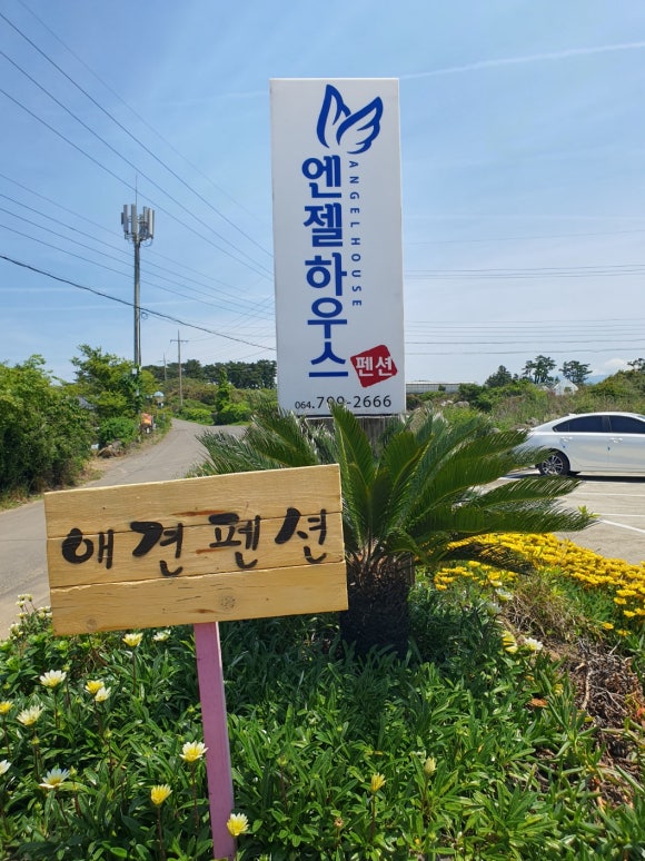 엔젤하우스 이미지