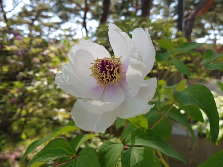 옥돌당구장 이미지