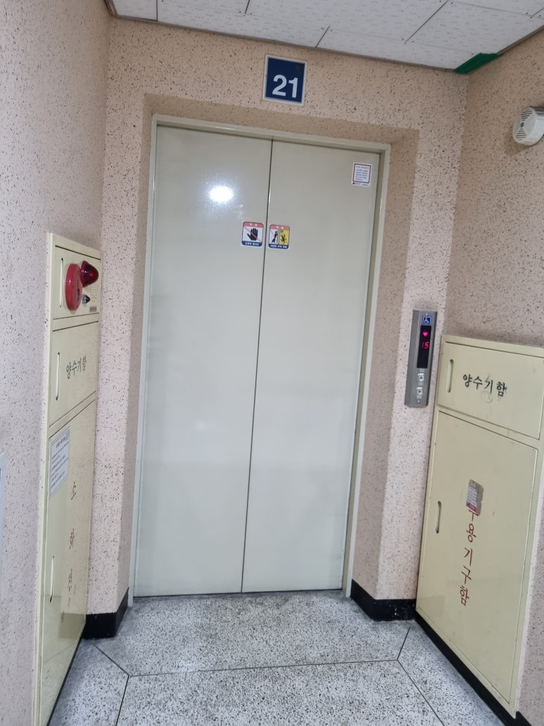 주식회사 파인트리 이미지