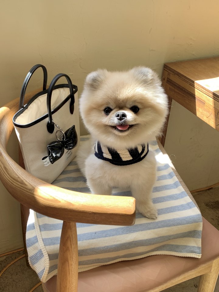 아이라이크 이미지