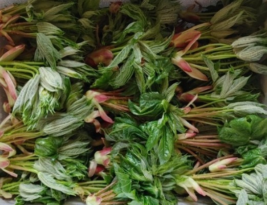 순떡 이미지