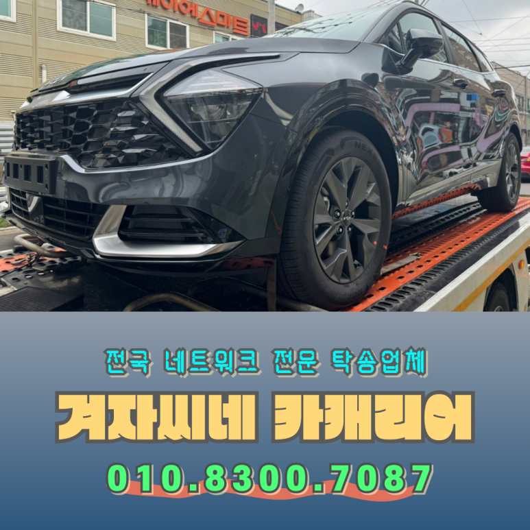 씨네카 이미지