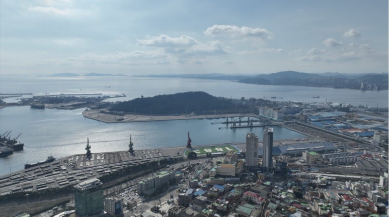 타코야끼 바다 이미지