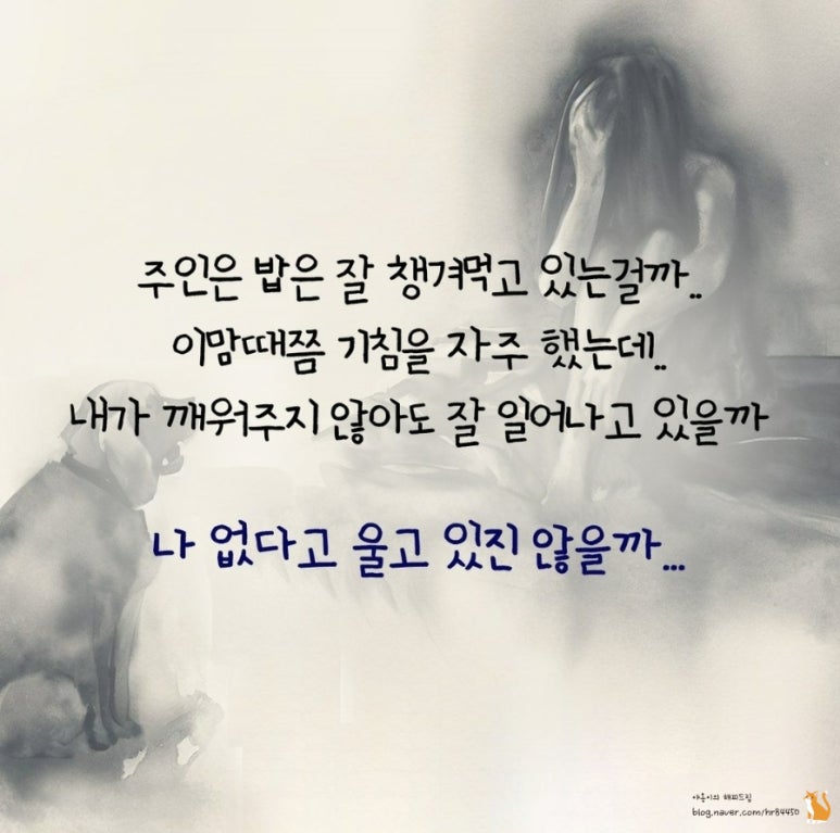 무지개광고 이미지