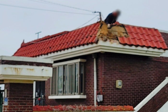 제천현대칼라 이미지