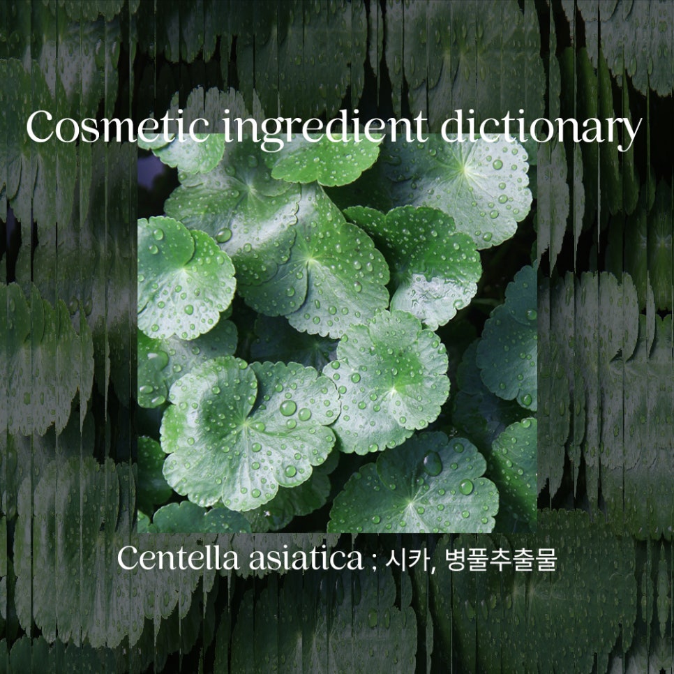 방한나화장품 이미지